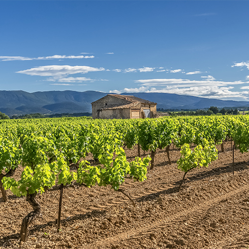 campings parc luberon