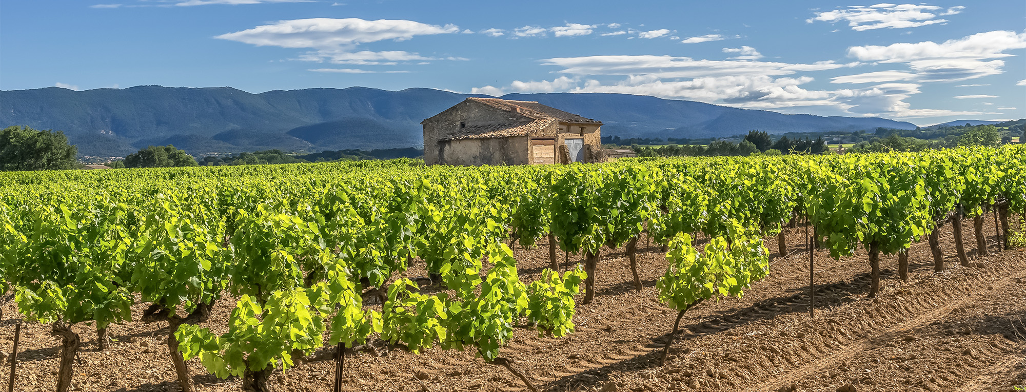 campings parc luberon