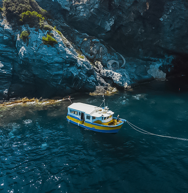 excursions en bateau