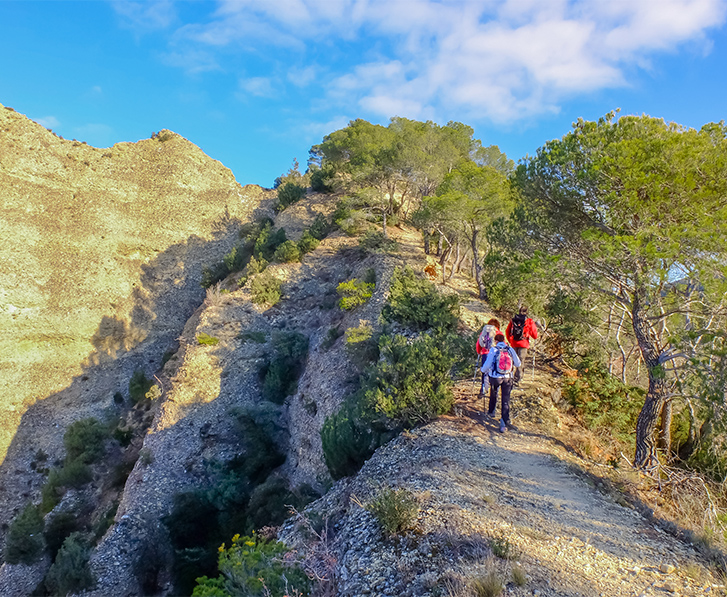 randonnees a explorer a digne et sisteron