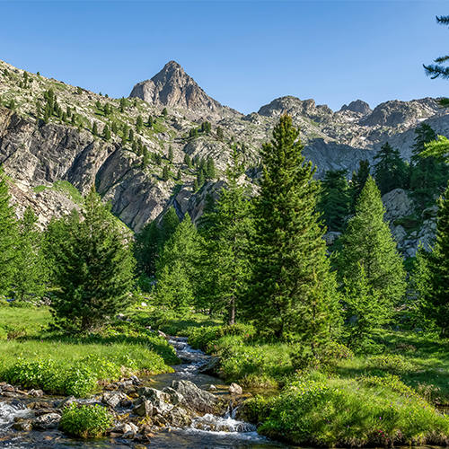 campings parc du mercantour