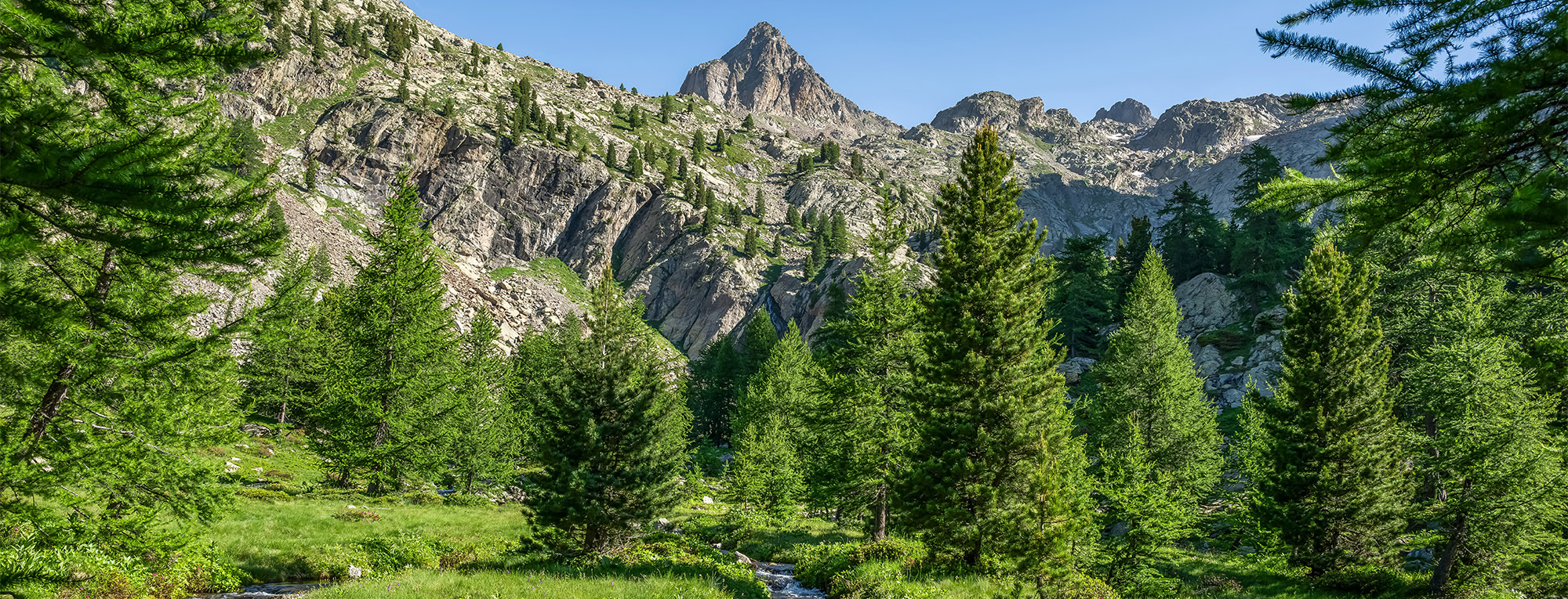 campings parc du mercantour