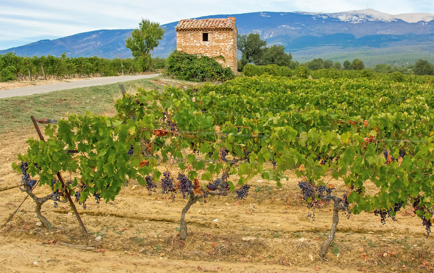 decouverte d orange et vaison la romaine