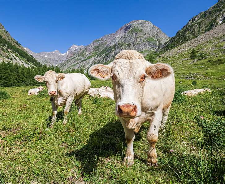 decouvrir les tresors naturels et l agriculture au rythme des saisons
