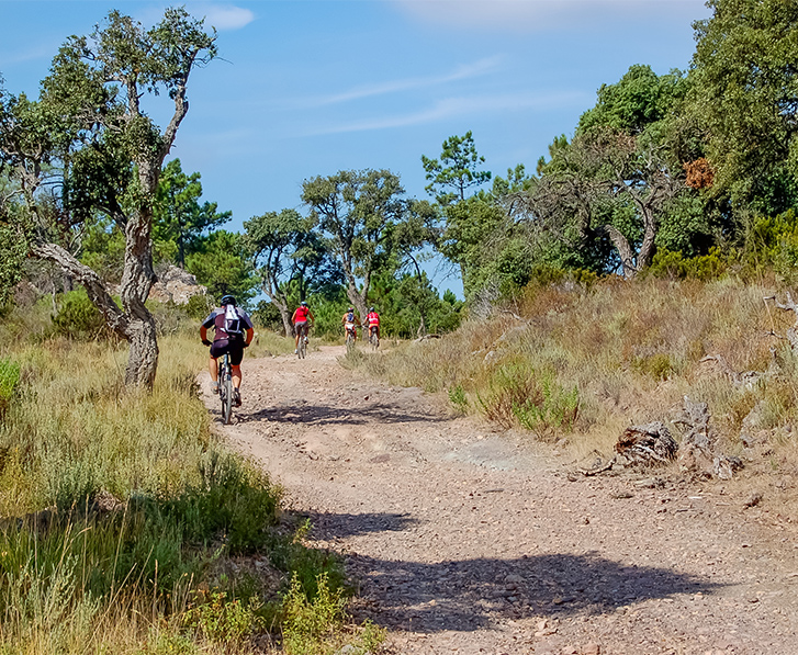 en vtt profitez des reliefs rouges de l esterel