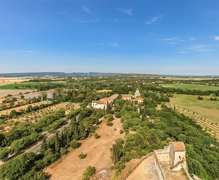 faire une escale dans les domaines viticoles du bouches du rhone