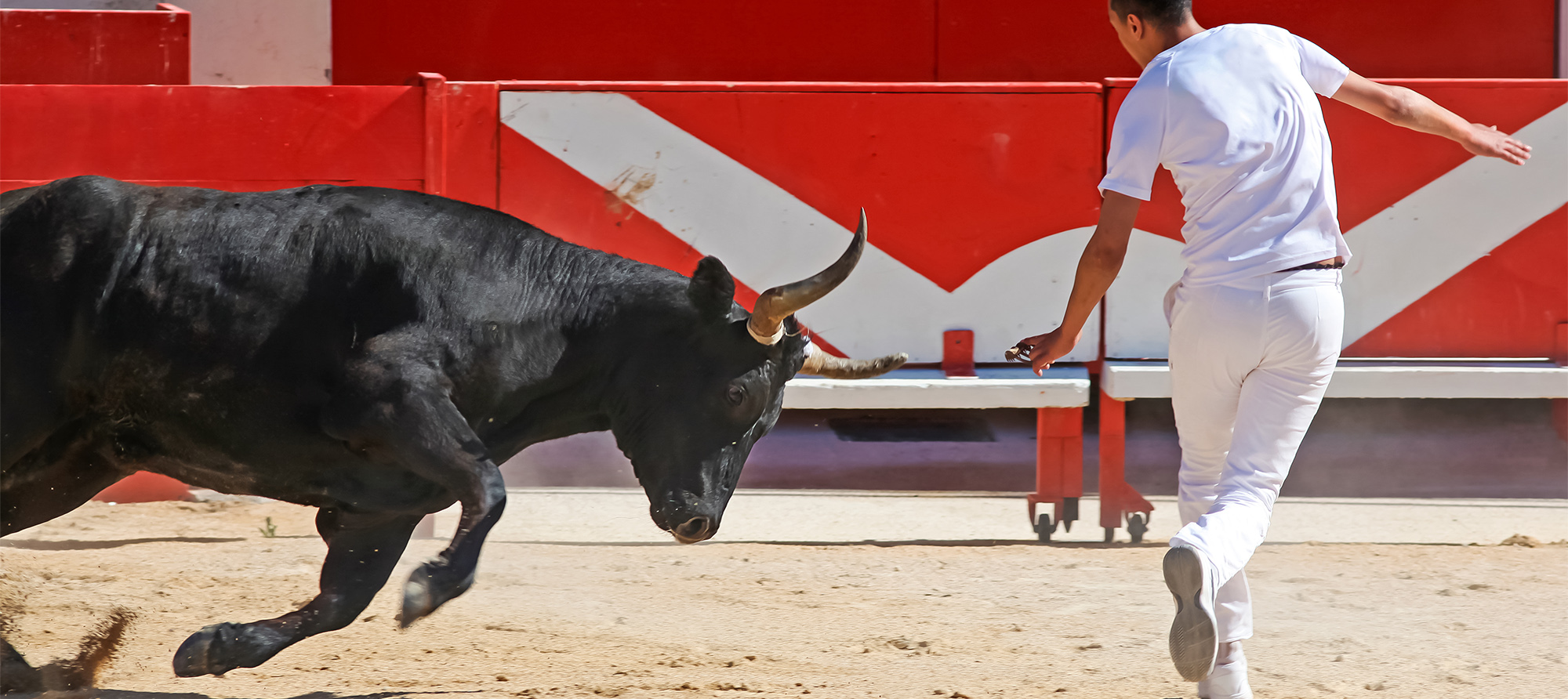 feria d arles