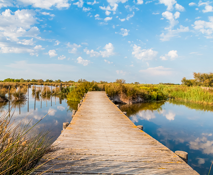 marais salants camargue