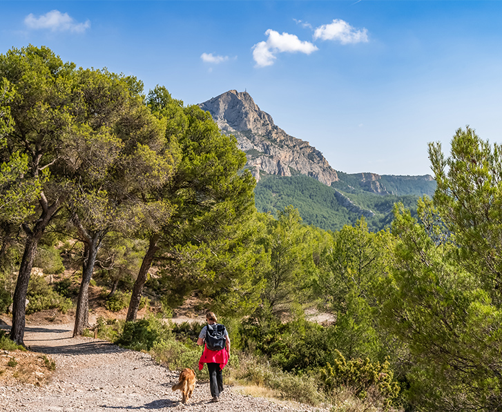 montagne sainte sictoire