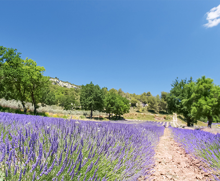 se ressourcer dans le parc naturel regional du luberon
