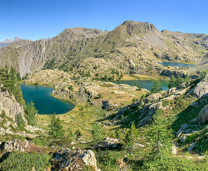 sur les traces des chamois dans le mercantour