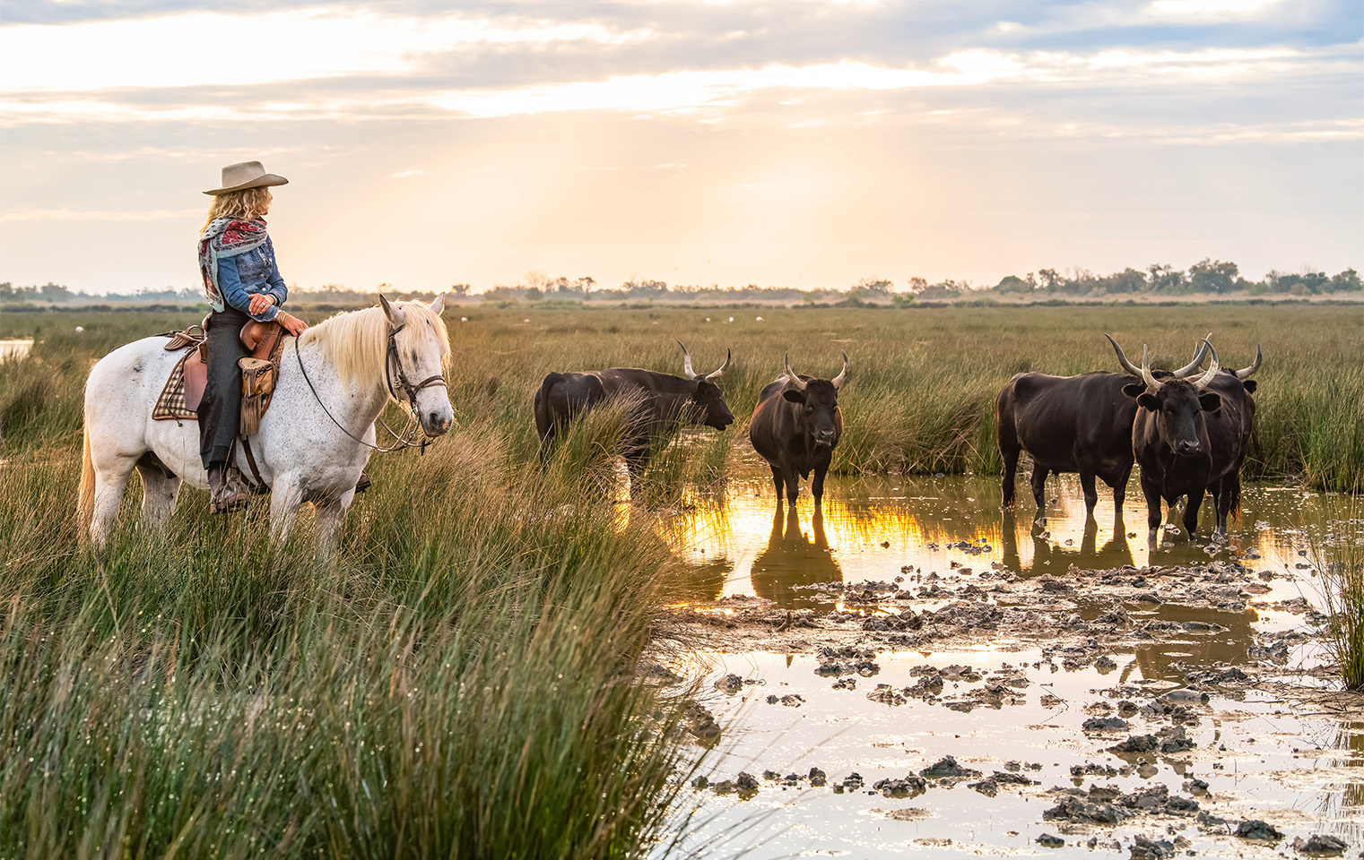 visiter arles et la camargue
