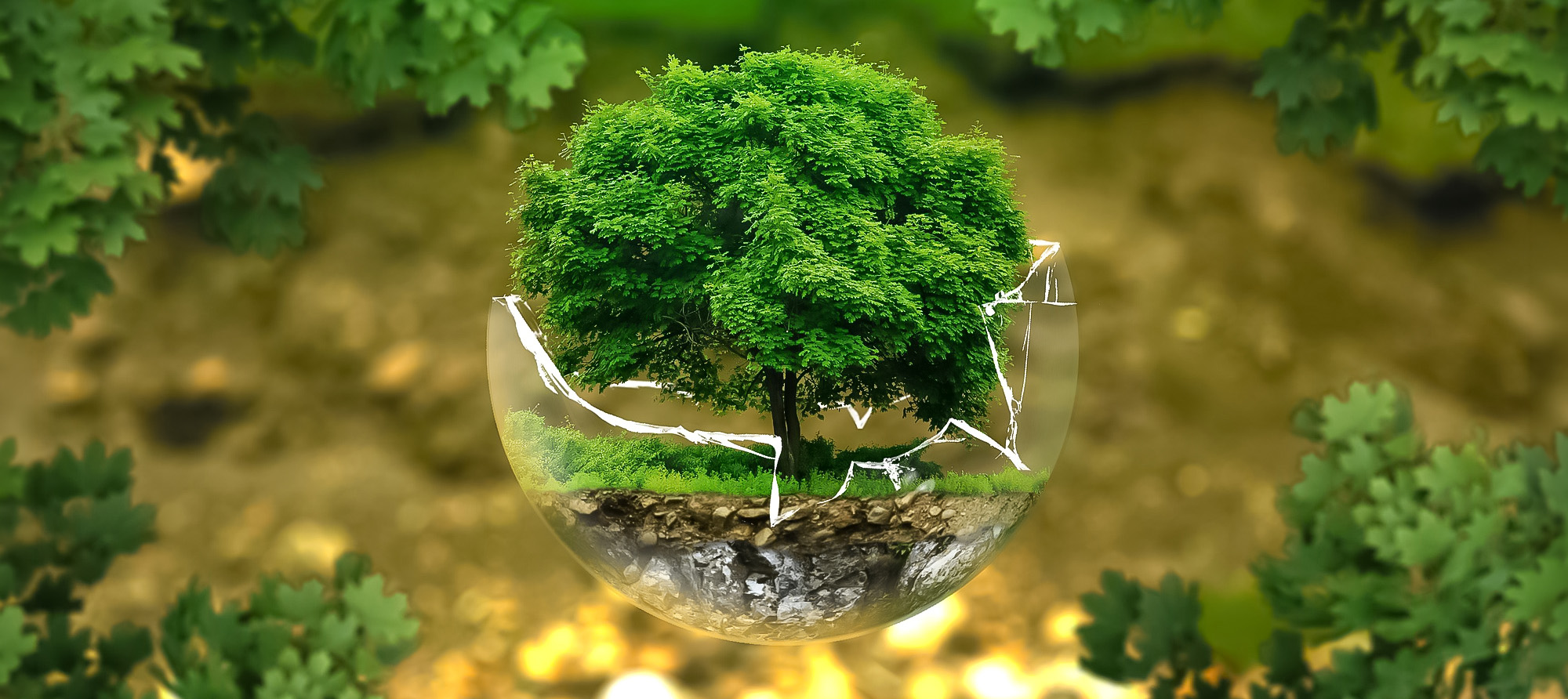 transition environnementale