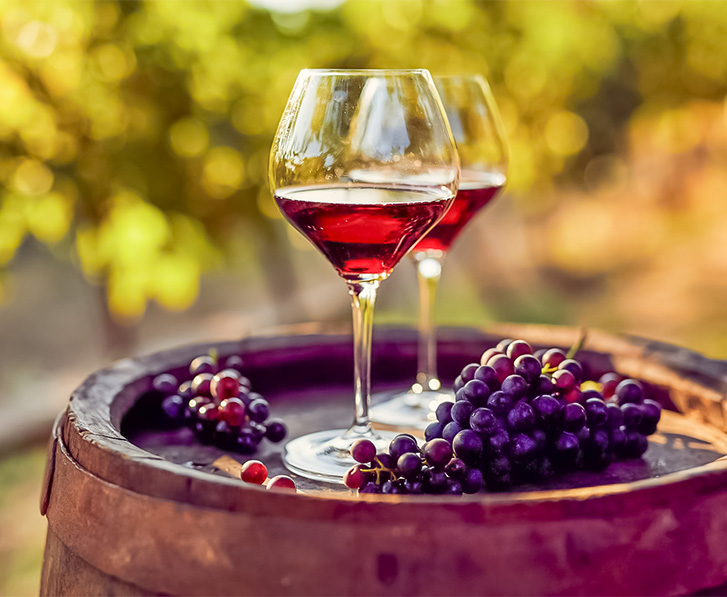 vignobles de bandol